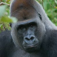 Paignton Zoo