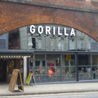Gorilla