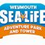 Octonauts at Weymouth SEA LIFE Octonauts at Weymouth SEA LIFE